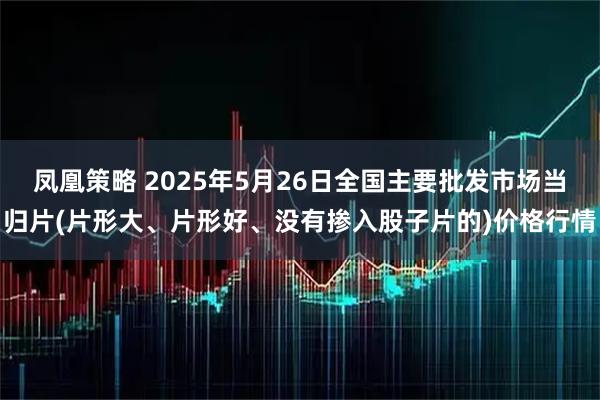 凤凰策略 2025年5月26日全国主要批发市场当归片(片形大、片形好、没有掺入股子片的)价格行情