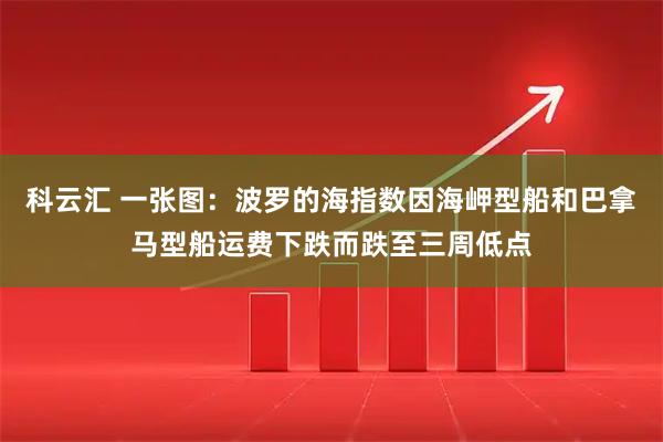 科云汇 一张图：波罗的海指数因海岬型船和巴拿马型船运费下跌而跌至三周低点