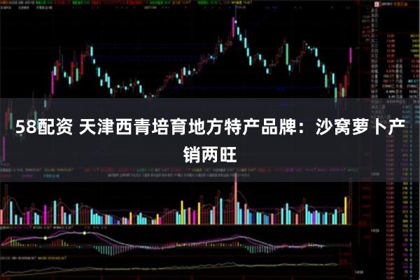 58配资 天津西青培育地方特产品牌：沙窝萝卜产销两旺