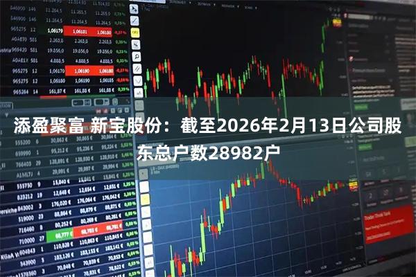 添盈聚富 新宝股份：截至2026年2月13日公司股东总户数28982户